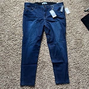 Wit & Wisdom NWT 18 “Ab”solution Skinny Jeans